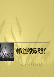 小微企业税收政策解析