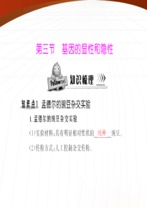 《随堂优化训练》2011年八年级生物下册 第七单元 第二章 第三节 基因的显性和隐性 配套课件 人教