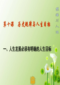 哲学与人生-第十课历史规律与人生目标