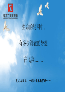 朱志一和爱之力团队的梦想板我心飞翔