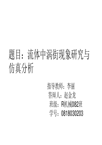 涡街仿真与模拟毕业答辩