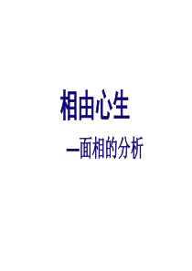 相-面相分析