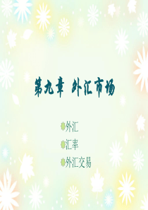 第九章  外汇