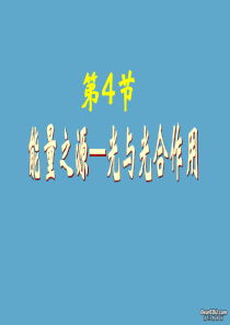 高一生物第四节能量之源 光与光合作用课件 新课标    人教版