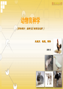 家畜育种学10品系与品种的培育