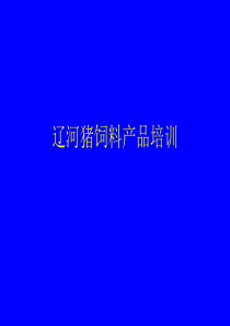 六和猪饲料产品培训