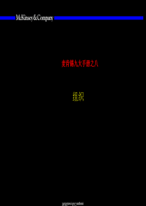 麦肯锡__著名九大手册之八-组织