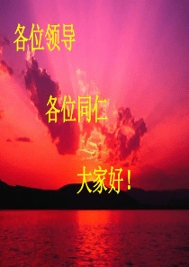 各位领导