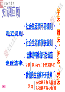 人教版七年级思想品德下册   第七课第一节法不可违