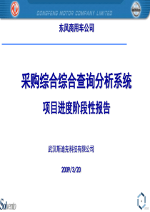 项目进度阶段性报告