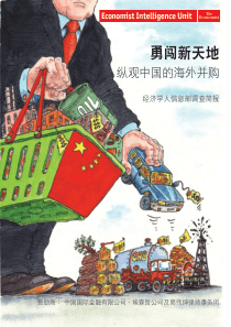 纵观中国的海外并购