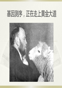 基因测序,正在走上黄金大道