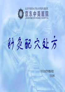 针灸配穴处方