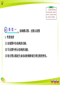 人教版初中生物中考复习专题七方法专题ppt64页PPT