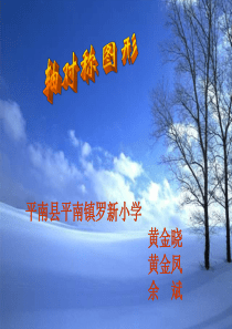 六年级数学轴对称图形3