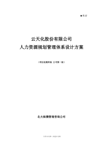 云天化人力资源规划管理体系设计方案-北大纵横