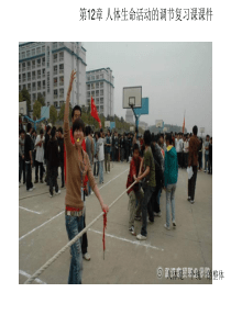 七年级生物人体生命活动的调节