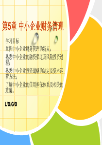 高级财务管理第5章-中小企业财务管理