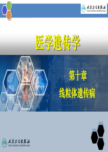 线粒体遗传病