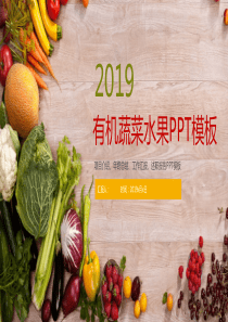 简洁蔬果美食项目策划宣传推广工作汇报PPT模板
