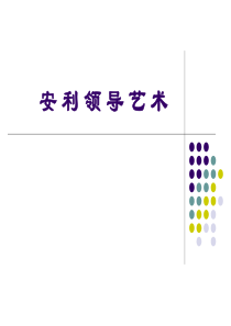 安利领导艺术