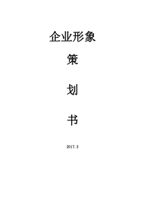 企业形象包装方案