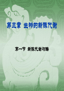 新陈代谢与酶