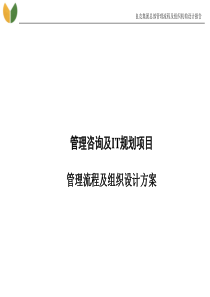 上海x友集团管理流程及组织设计方案(95)