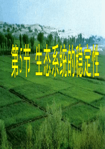 第5节-生态系统的稳定性(公开课)