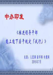 推进领导干部能上能下若干规定(试行)