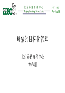 母猪的目标化管理(农垦培训)_4（PDF37页）