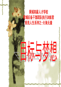 照亮人生目标与梦想-大海无量