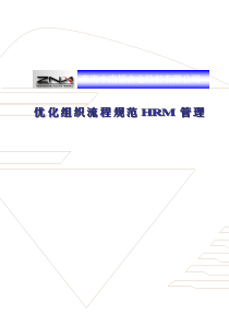 中南轮毂优化组织流程及规范HRM方案(1)