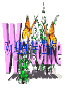 欢迎领导莅临
