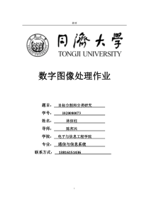 目标分割和分类研究