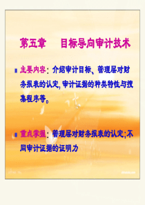 目标导向审计技术