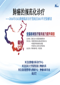 4肺癌的规范化诊疗-2016年CSCO肺癌临床诊疗指南及2017年更新解读