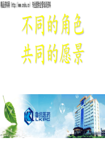 目标管理(鲁抗)