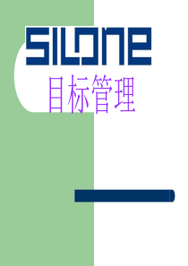 目标管理-西龙