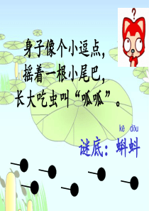 34《小蝌蚪找妈妈》课件新