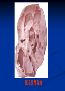 病理切片考试图