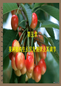 果树生长发育