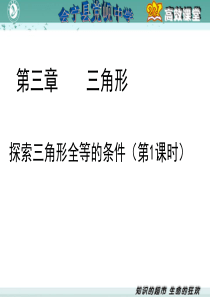 北师大版-3.3.1探索三角形全等的条件-(第1课时)-靳军强