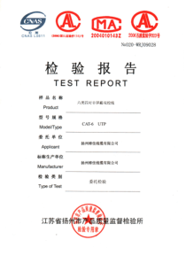 六类网线检测报告