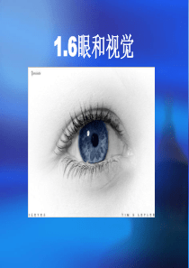 浙教版七下_第二章_第六节_透镜和视觉_第二课时
