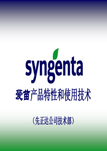 爱苗的深度解读