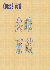 九年级语文下册 24 诗经两首课件 新人教版