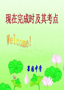 现在完成时 PPT