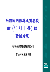 当前国内养鸡业重要疫病的防制对策 zew