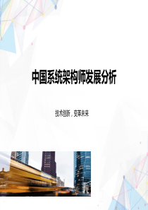 中国系统架构师发展分析